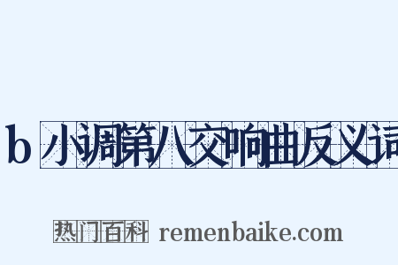 b小调第八交响曲反义词是什么意思的图片